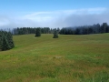 maryspeak_scenery